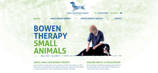 Anna Lane Bowen Therapy website desktop homepage