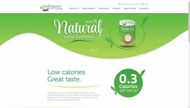GreenSpoon website desktop homepage
